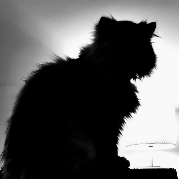 IMG_20191015_171222~2.jpg IMG_20191015_171222~2.jpg