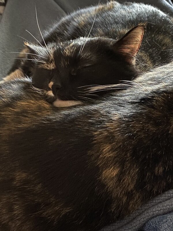 49790328438_4044191ee4_b.jpg 49790328438_4044191ee4_b.jpg