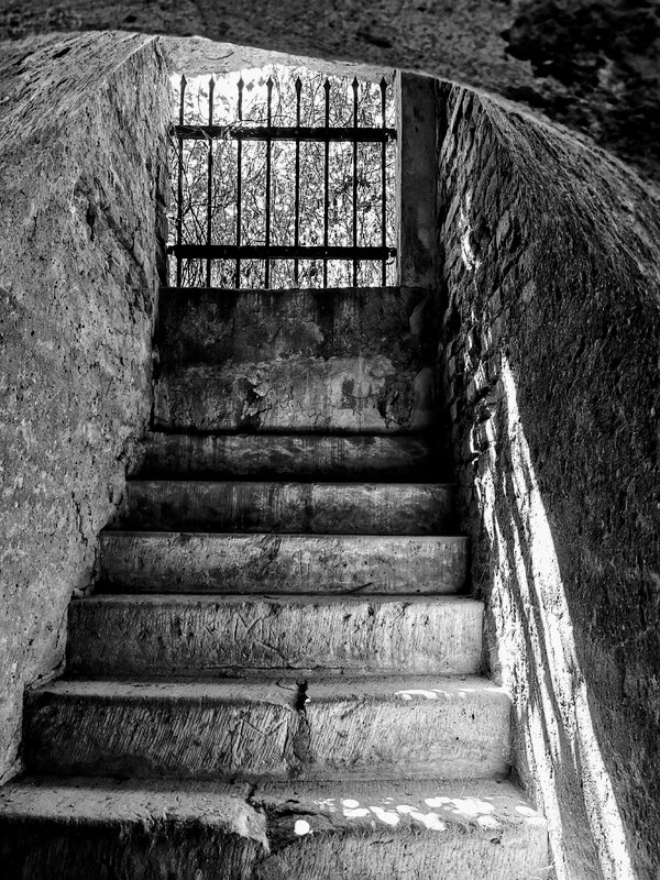 1000033336.jpg 1000033336.jpg