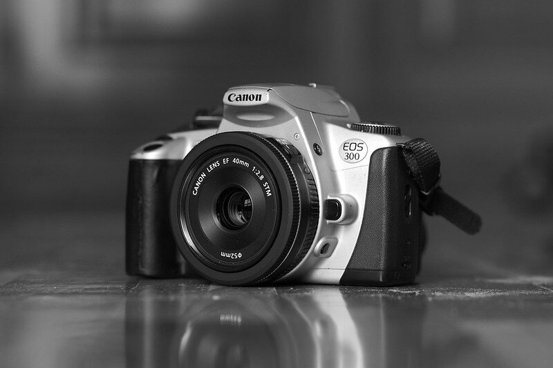 54492538363_e402072bff_c.jpg 54492538363_e402072bff_c.jpg