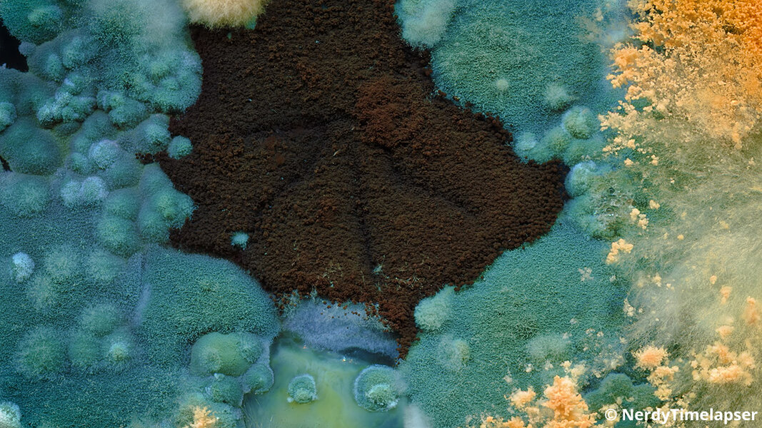 4467636.jpg 4467636.jpg