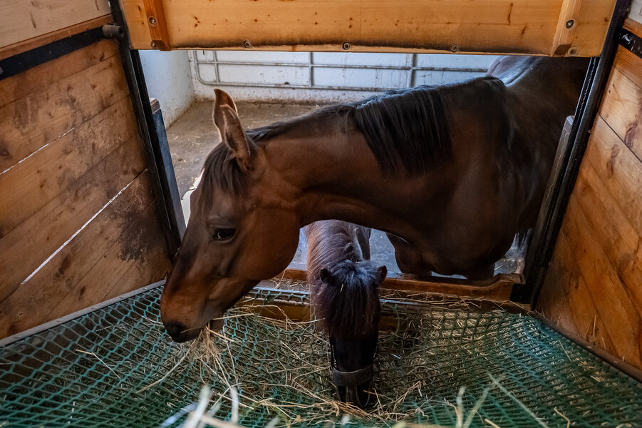 P1459469.jpg P1459469.jpg