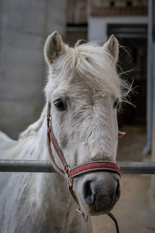 P1459267-2.jpg P1459267-2.jpg