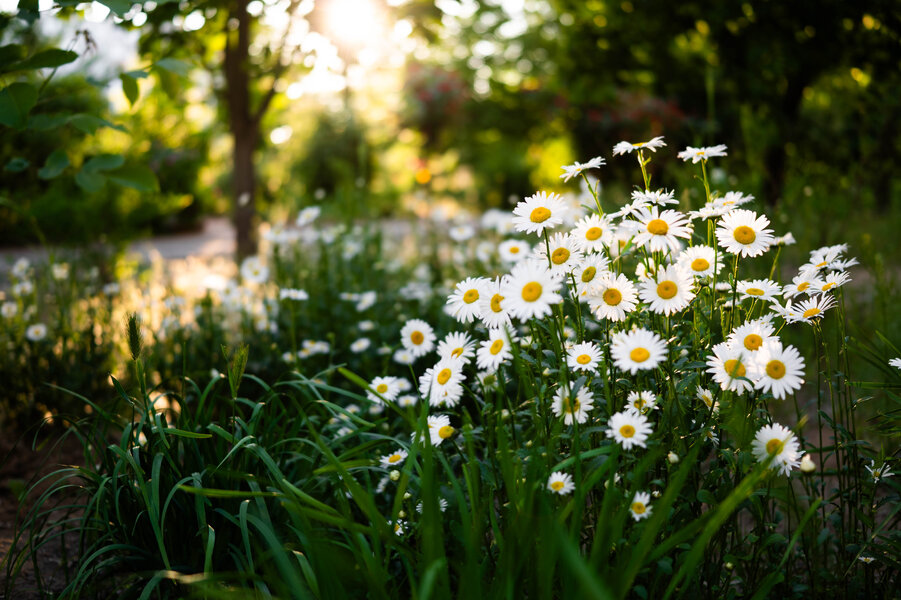 P1003610-3.jpg P1003610-3.jpg