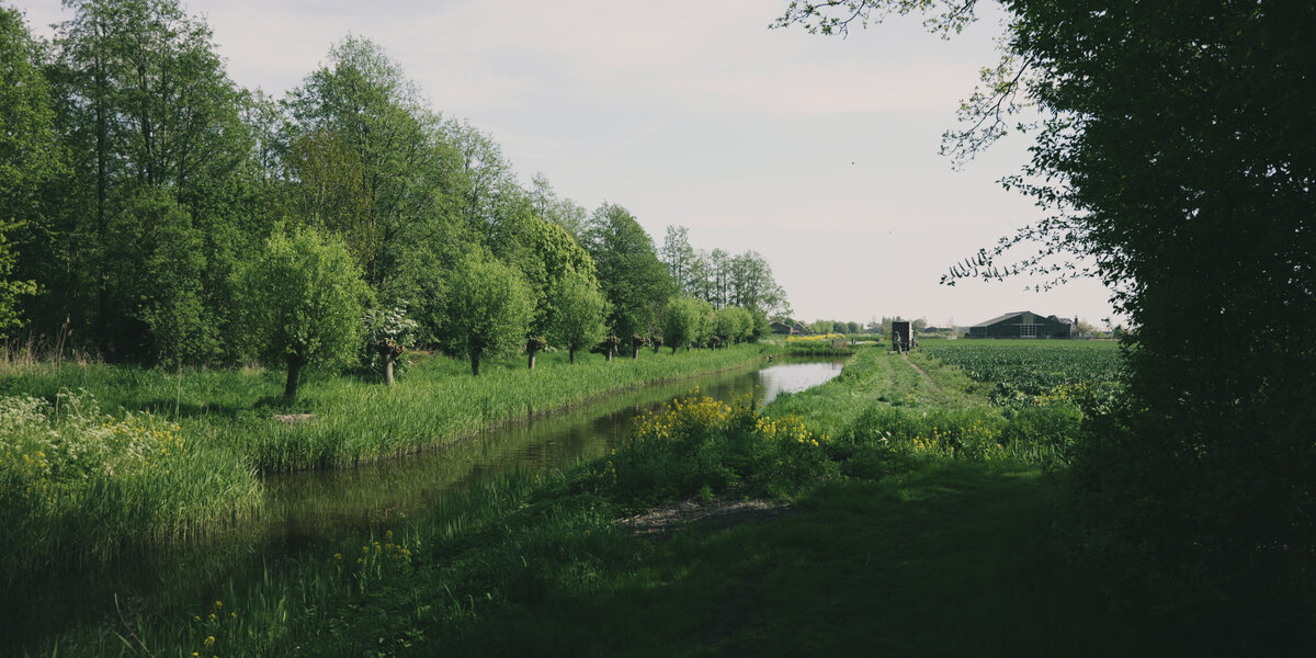 Nature1.jpg