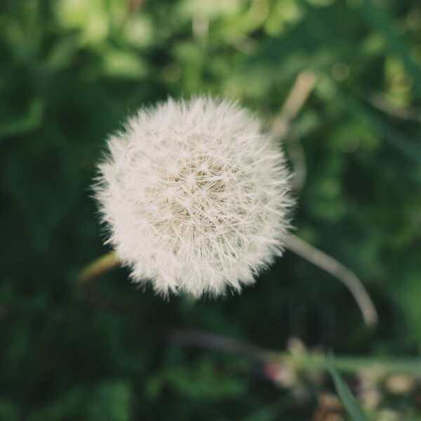 Nature2.jpg Nature2.jpg