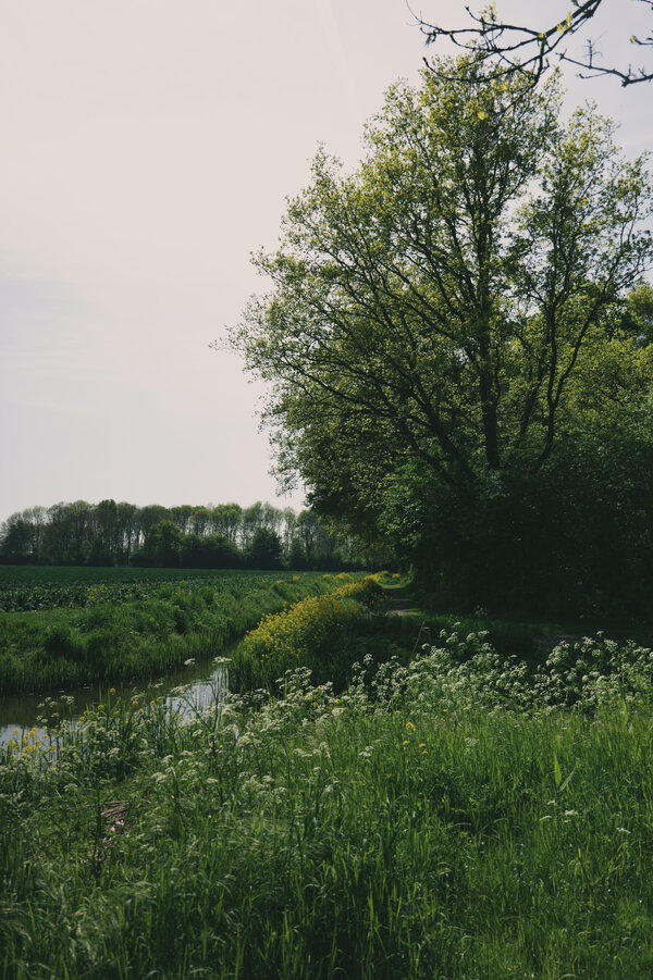 Nature3.jpg Nature3.jpg