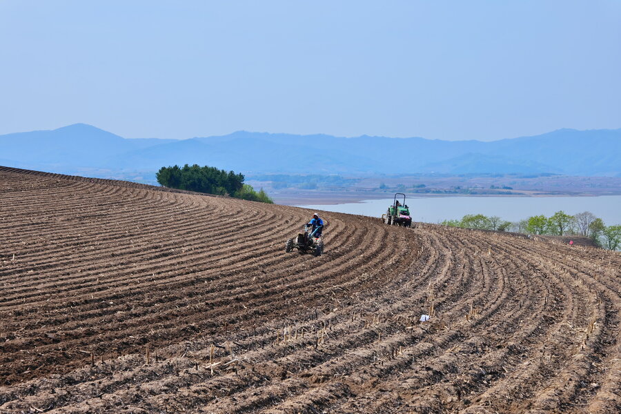 250511-P1026540-1600 (2).jpg 250511-P1026540-1600 (2).jpg