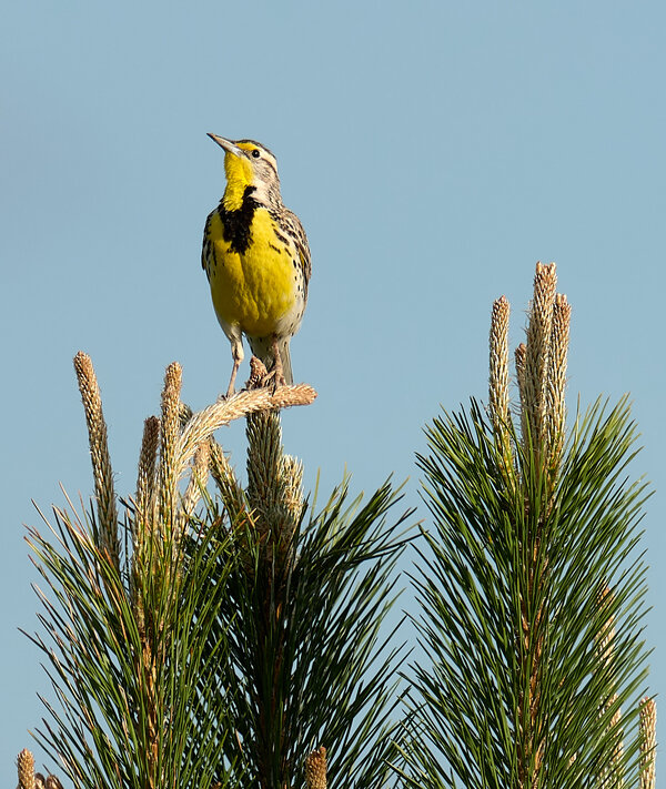 P1071350 1.jpg P1071350 1.jpg