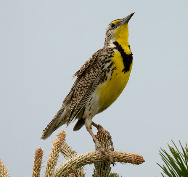 P1081793.jpg P1081793.jpg