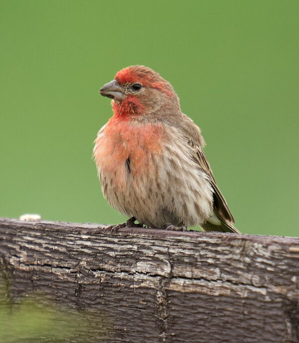 P1081431.jpg P1081431.jpg