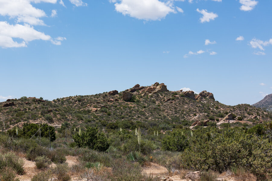 PS1R0866.jpg PS1R0866.jpg