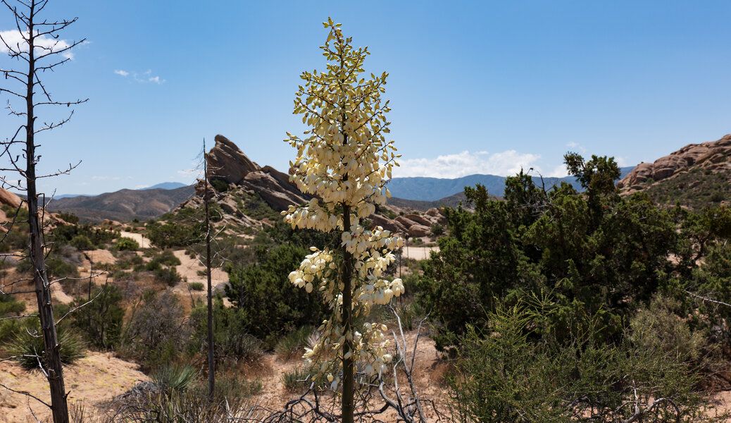 PS1R0864.jpg