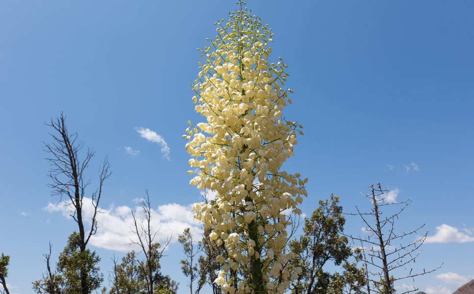 PS1R0860.jpg PS1R0860.jpg