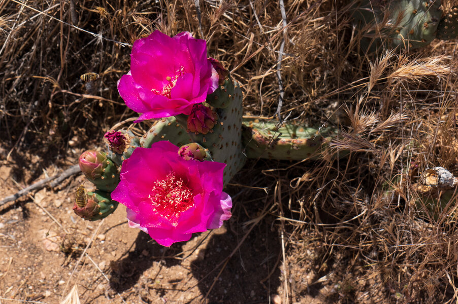 PS1R0857.jpg PS1R0857.jpg