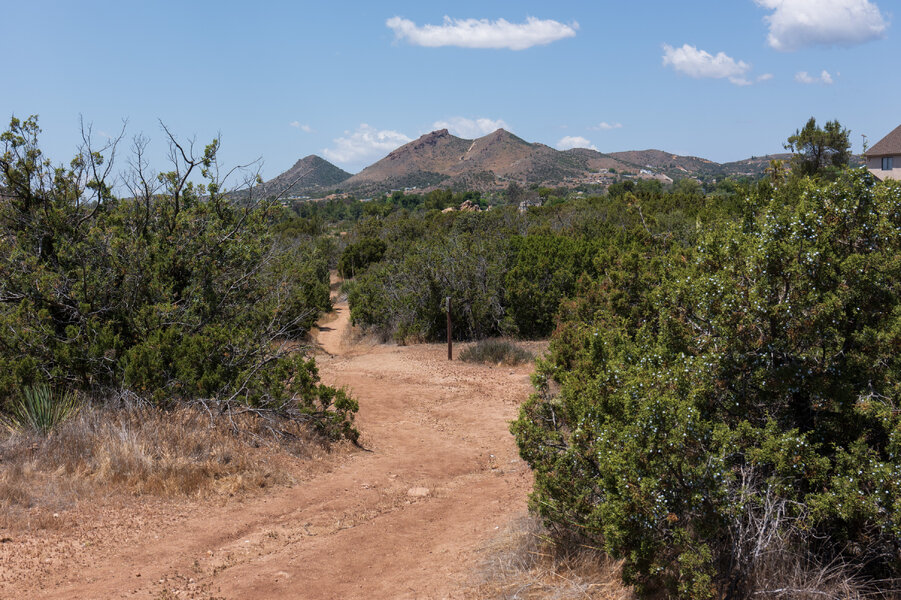 PS1R0848.jpg