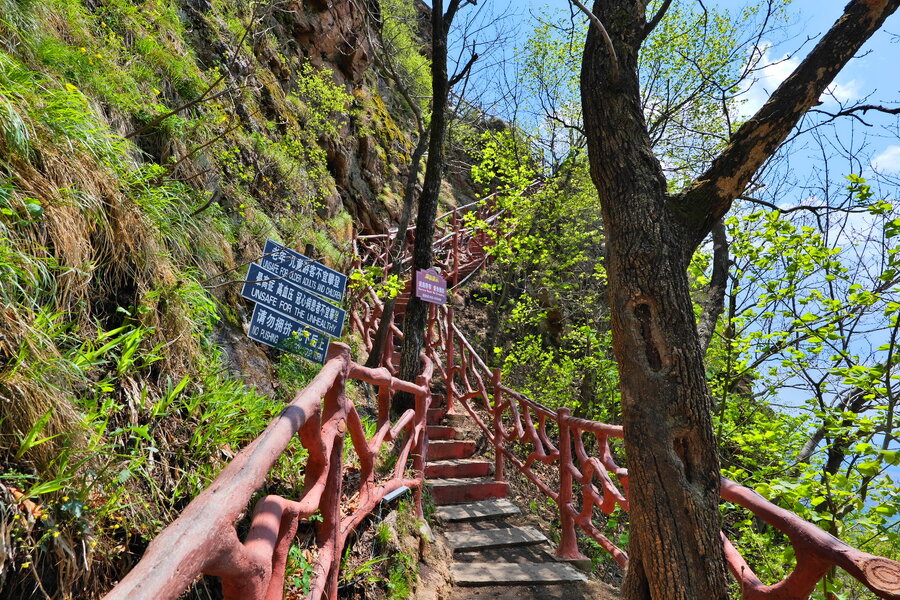 250518-P1026787-1600.jpg