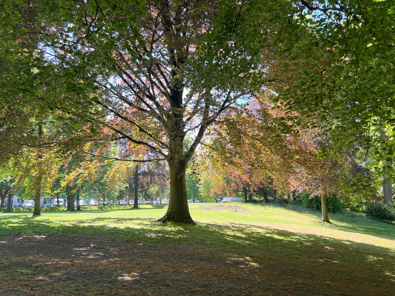 IMG_1069_DxO.jpg