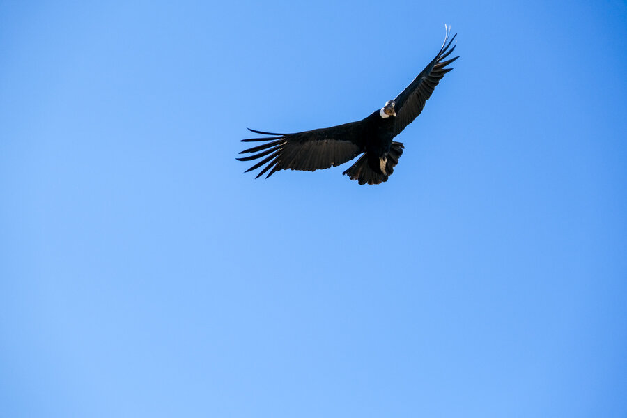 XT4R0946.JPG