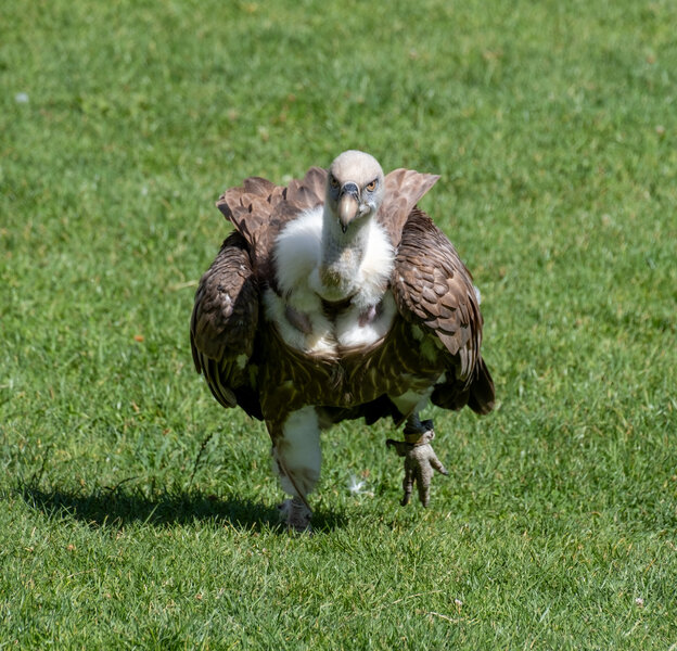 DSCF6276.jpg