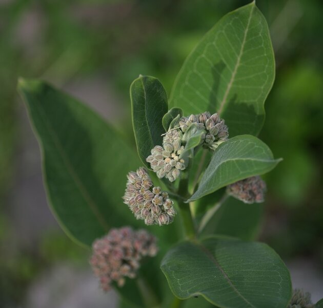 54545874215_d286584626_b.jpg 54545874215_d286584626_b.jpg