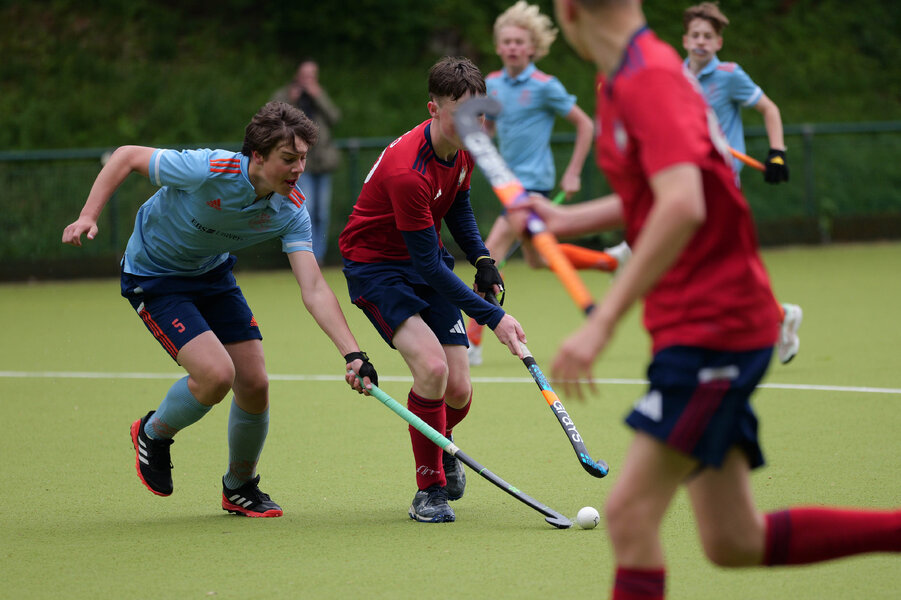 DS_4kweb-2446.jpg DS_4kweb-2446.jpg