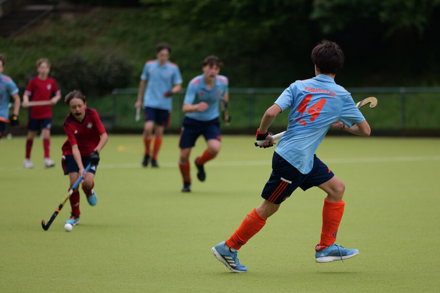 DS_4kweb-2784.jpg DS_4kweb-2784.jpg