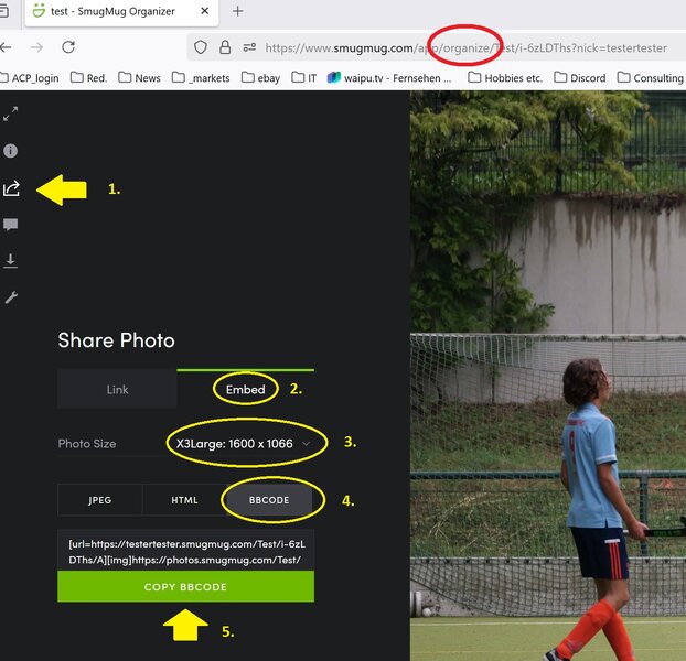 smugmug_organizer.jpg smugmug_organizer.jpg