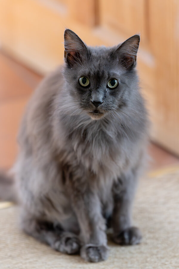 ted_s1r2.jpg ted_s1r2.jpg