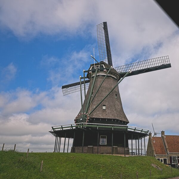 P1143551.jpg