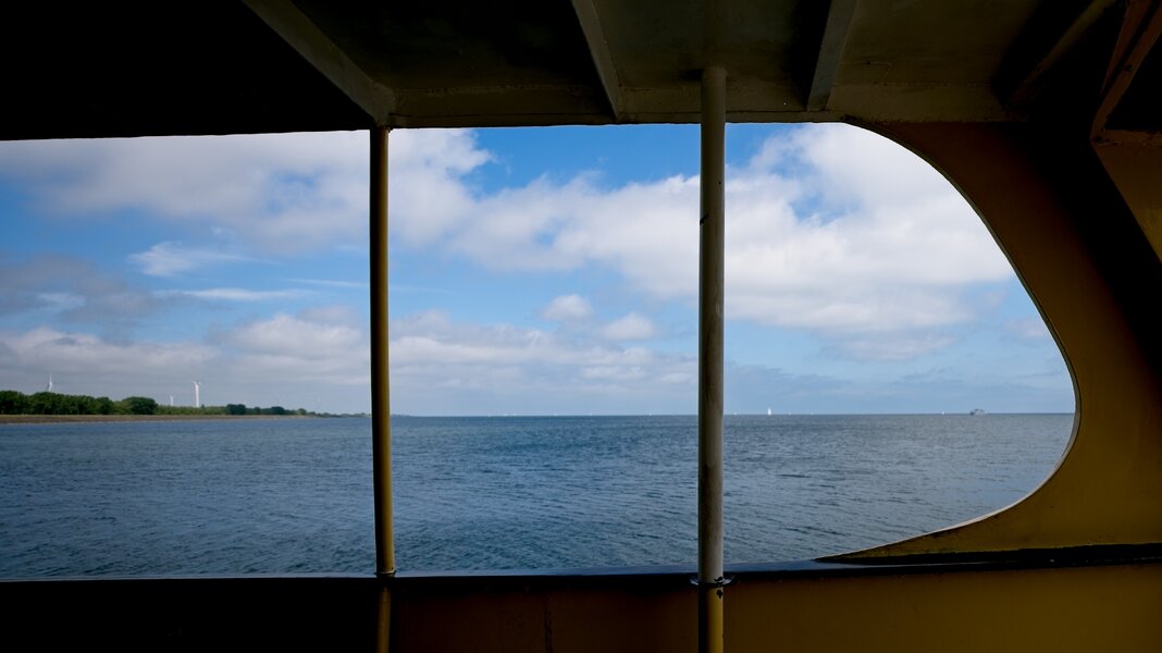 P1143651.jpg