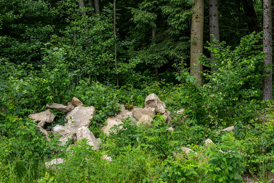 P1470852 (1).jpg
