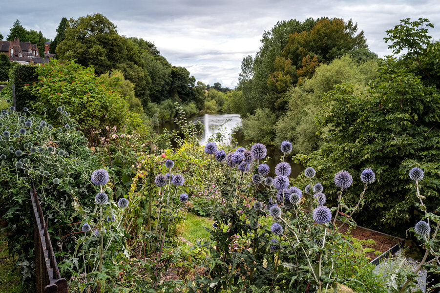 Riverside Spikes M10R + 24mm Elmar.jpg