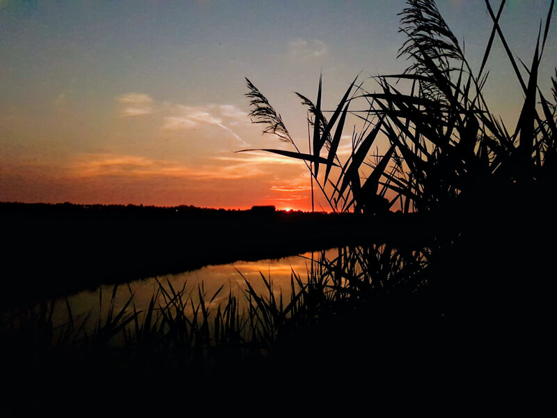20170828_203206~2.jpg