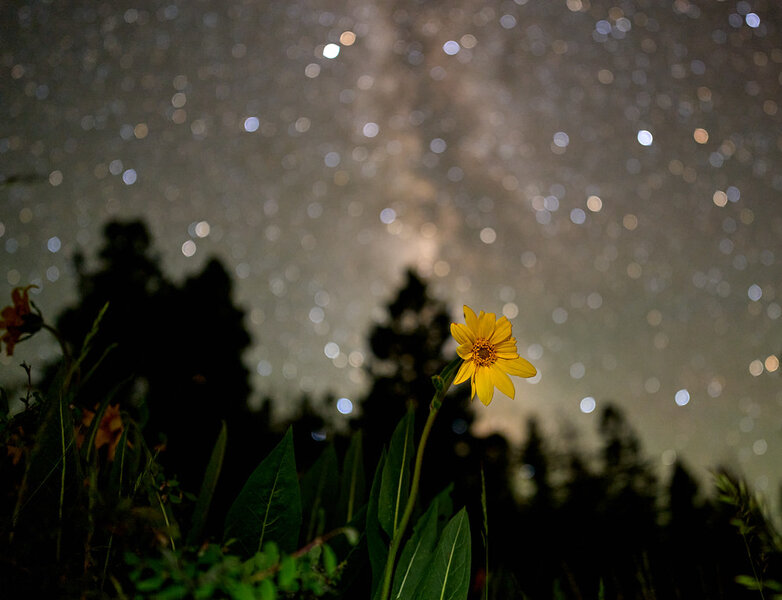 EmptyName%2054-XL.jpg EmptyName%2054-XL.jpg