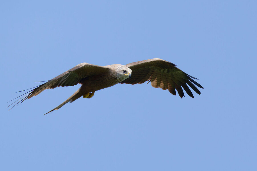 PR2_0092_Dx0.jpg