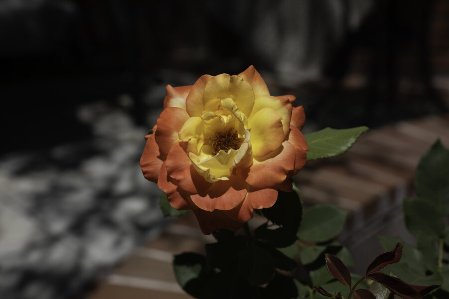 PS1R1402R.jpg