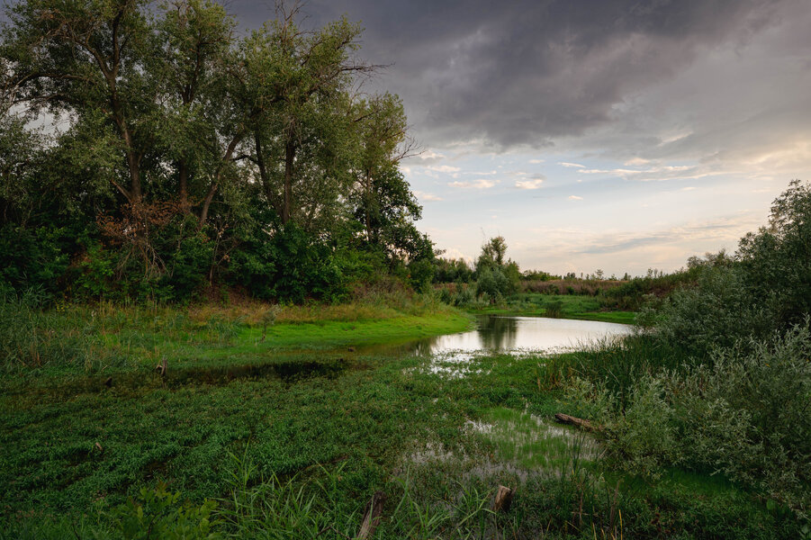 P1005040-3.jpg