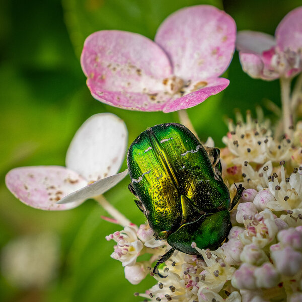 Sin título-2-3.jpg Sin título-2-3.jpg