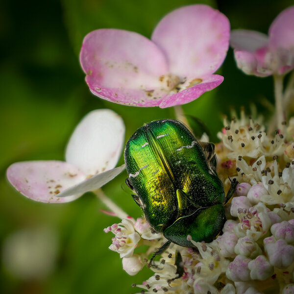 P1000164-2.jpg P1000164-2.jpg