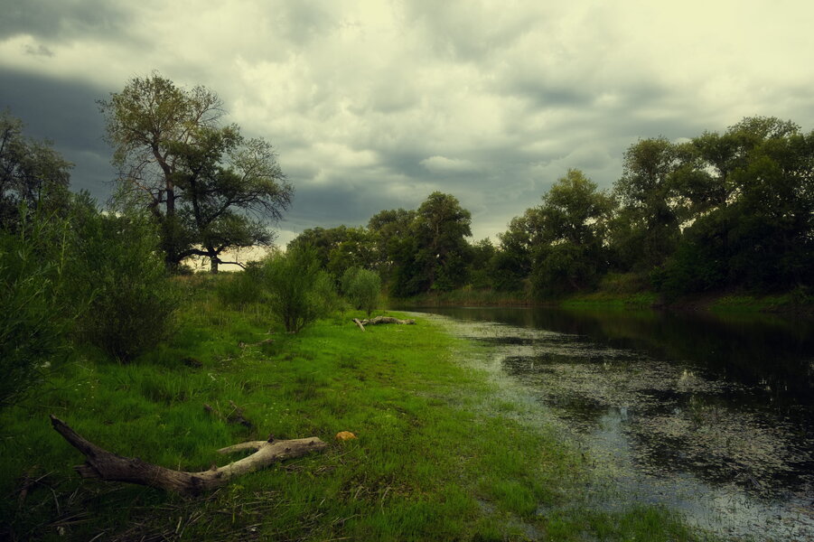 P1005030_9.jpg P1005030_9.jpg