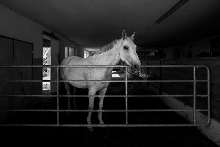 P1020697 (1).jpg P1020697 (1).jpg