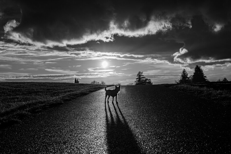 P1088732 (1).jpg P1088732 (1).jpg