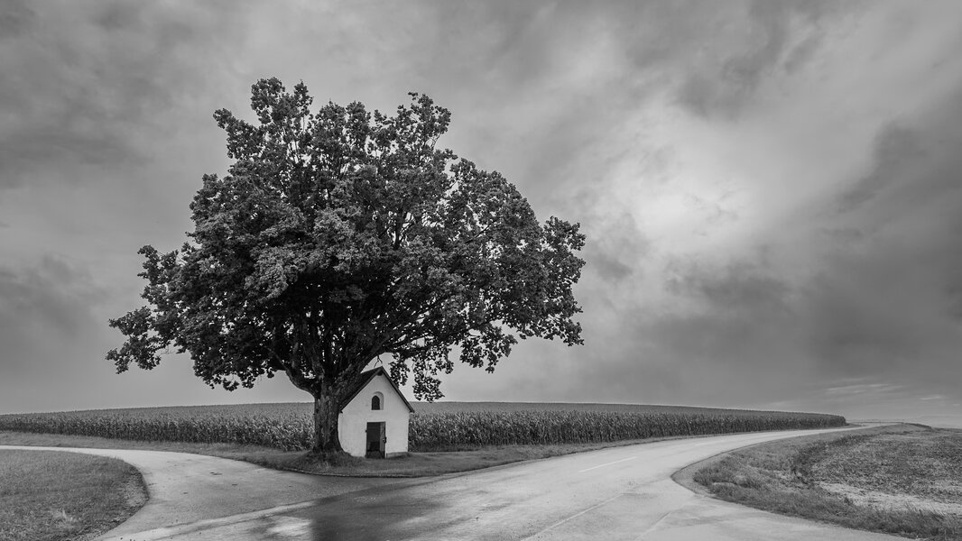 P1020757 (1).jpg P1020757 (1).jpg