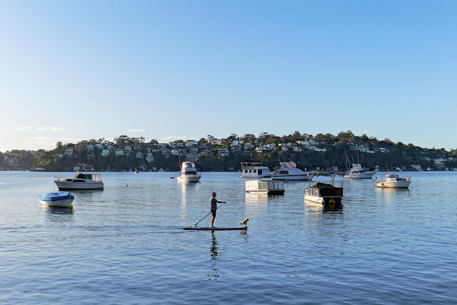 P1001501_DxO.jpg P1001501_DxO.jpg