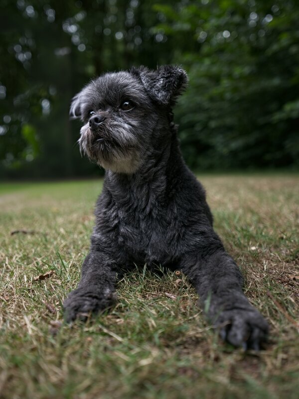 P1398898 2.jpg P1398898 2.jpg