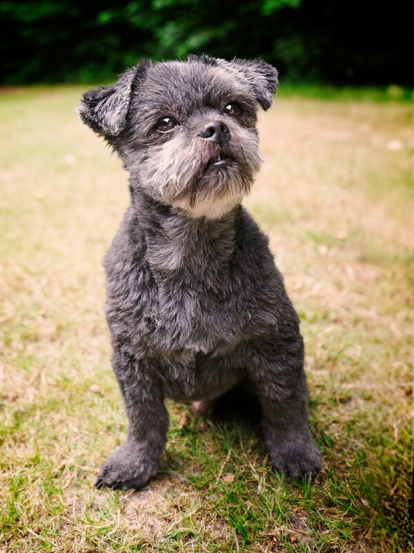 P1398911.jpg P1398911.jpg