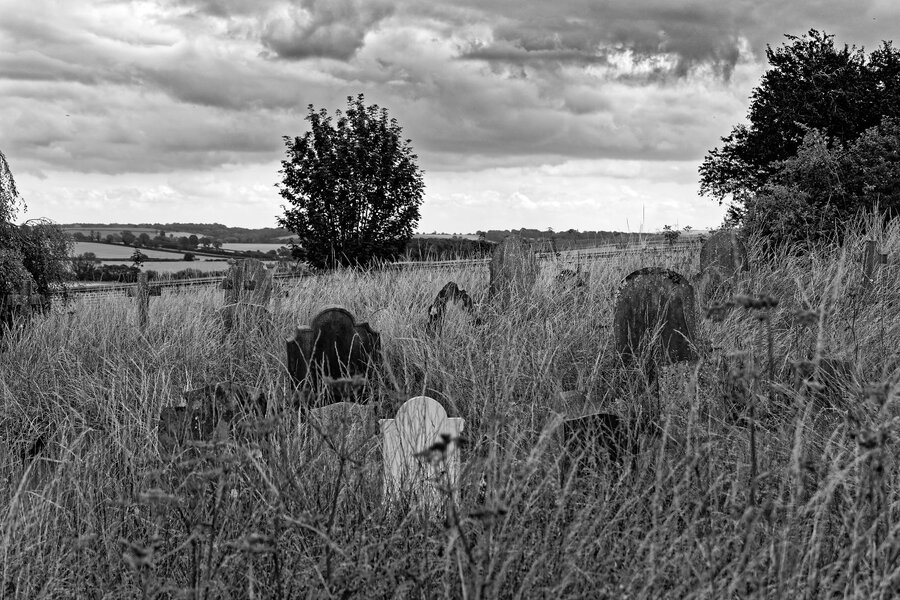 PS5B6540_DxO-2.jpg PS5B6540_DxO-2.jpg