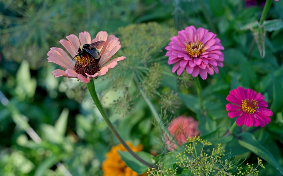 54675213201_ef9fa8e803_b.jpg 54675213201_ef9fa8e803_b.jpg