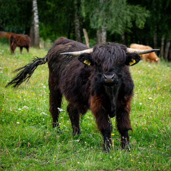 P1020988.jpg P1020988.jpg